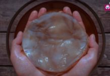 It’s Amazing How These Microorganisms Can Help You Lose Weight