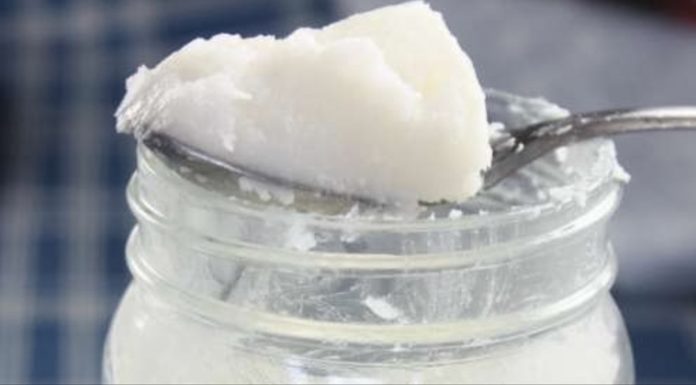 The Once Demonized Source of Fat That Kills Cancer and Treats Alzheimer’s