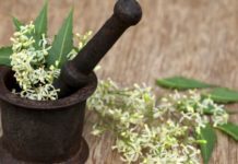 Diabetic herbs – useful for type 2 diabetes