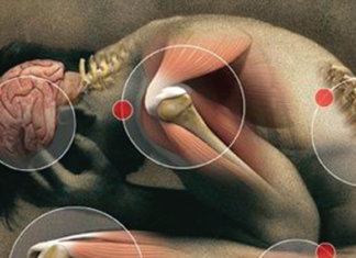 Which Foods Should You Cut to Fight Inflammation?