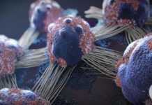 The Cancer, Dies When You Eat These 5 Foods, Time to Start Eating Them