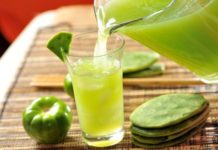 Cactus juice – useful properties and side effects