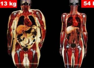 Two Different Bodies of the Same Age and Height