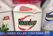 “A Huge Loss for Monsanto:” California Takes Down GMO Giant in Court, Wins Right to Add Cancer Labels