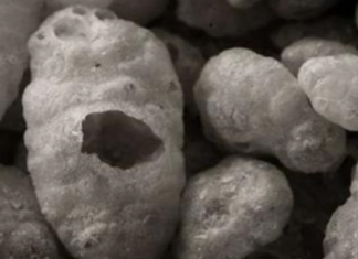 Research Finds High Levels of Arsenic In Common Foods