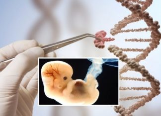 Humans to Be Genetically Modified for the First Time Ever in Europe