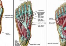 5 Foot Exercises To Help Relieve Back, Hip, And Knee Pain In 20 Minutes or Less
