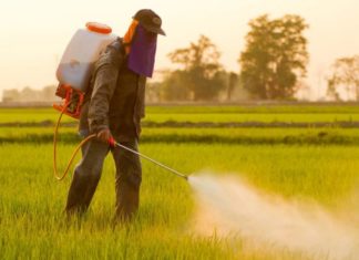Nine Foods That Are Directly Sprayed with Monsanto’s Cancer-Linked Herbicide Before Reaching Your Dinner Plate