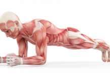 7 Things That Happen When You Do planks Every Day