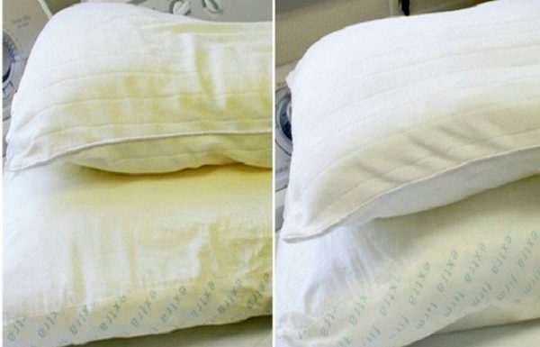 Learn To Disinfect Your Mattress And Your Pillows Easily