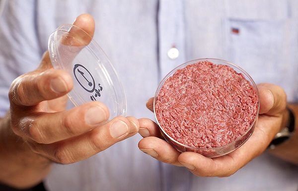 GMO Pusher Bill Gates Teams Up With Richard Branson, Hopes to End the Meat Industry As We Know It With Lab-Grown Beef