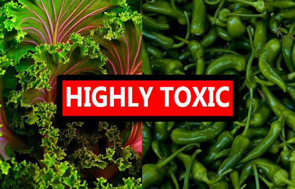 Two Vegetables Reported “Extraordinarily Toxic” Yet Not a Part of the New “Dirty Dozen”