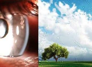 The Facts About Floaters – What Are Those Moving Floaty Things In Your Eyes?