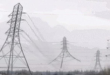 70 Percent of People Can Hear This Silent GIF!