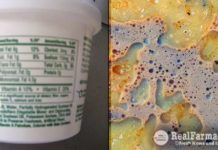 The Top Worst Food Ingredients to Avoid