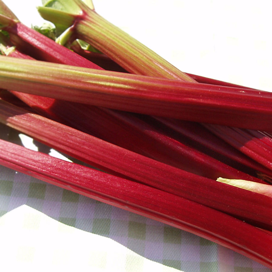 Rhubarb Shows Promise For Treating Chronic Liver Disease