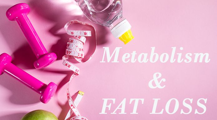Your Metabolism and Its Effect On Fat Loss Metabolism and fat loss