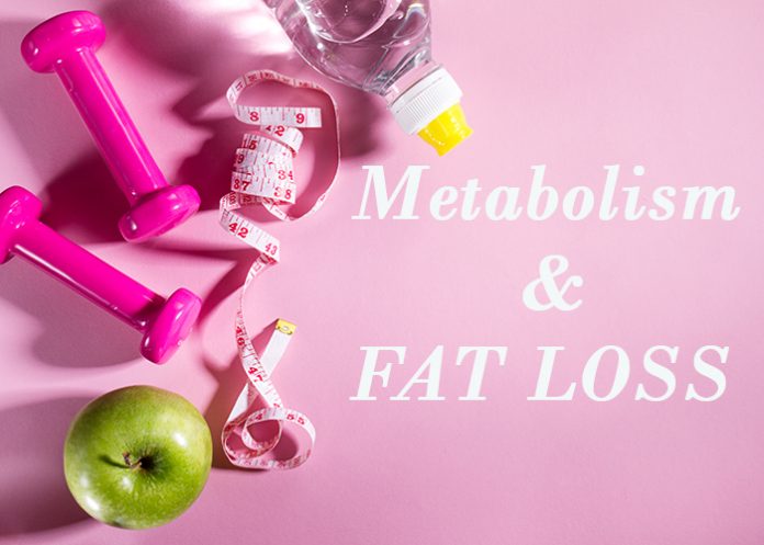 Metabolism and fat loss