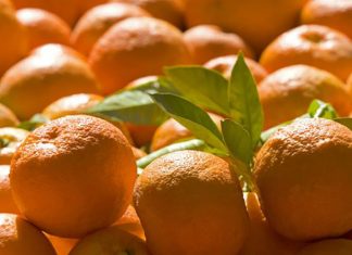 Natural Remedies for Losing Weight – Bitter Orange bitter orange benefits