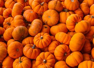 Pumpkin – A Super Food! Two Great Pumpkin Cakes Recipes